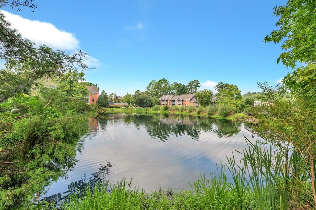 a view of a lake with houses in the background